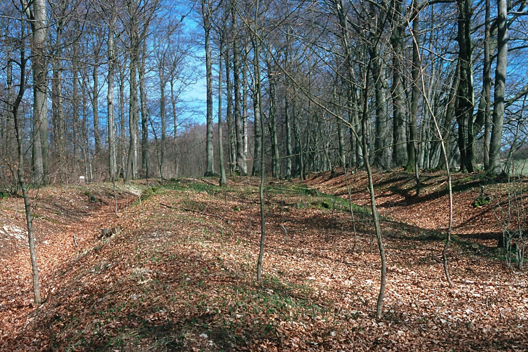 Landwehr Emberg