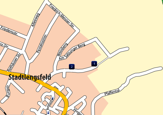 Abbildung 13 Weinberg