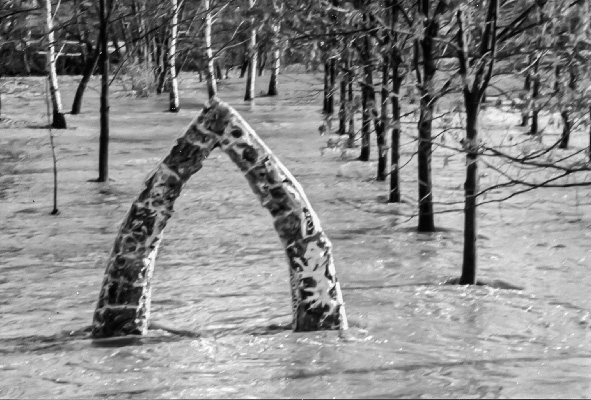 hochwasser_1995_002.jpg