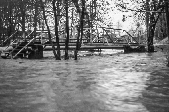 hochwasser_2001_001.jpg