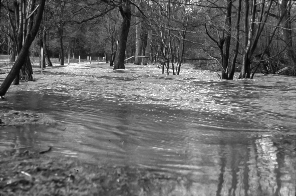 hochwasser_2001_002.jpg