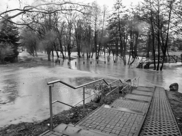 hochwasser_2011_003.jpg