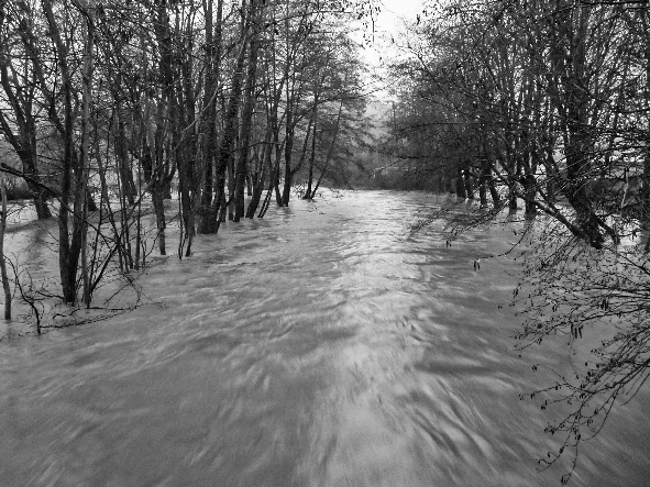 hochwasser_2011_004.jpg