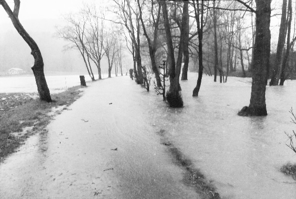 hochwasser_april_2020_002.jpg