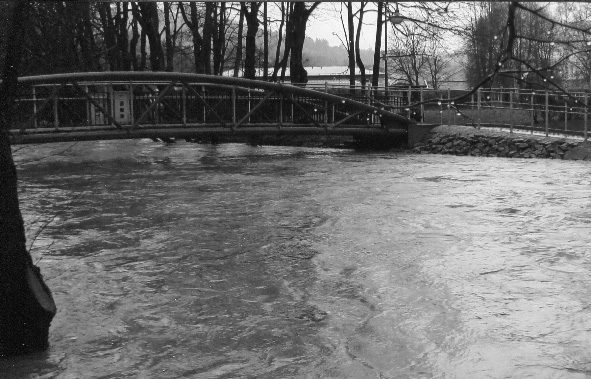 hochwasser_april_2020_003.jpg